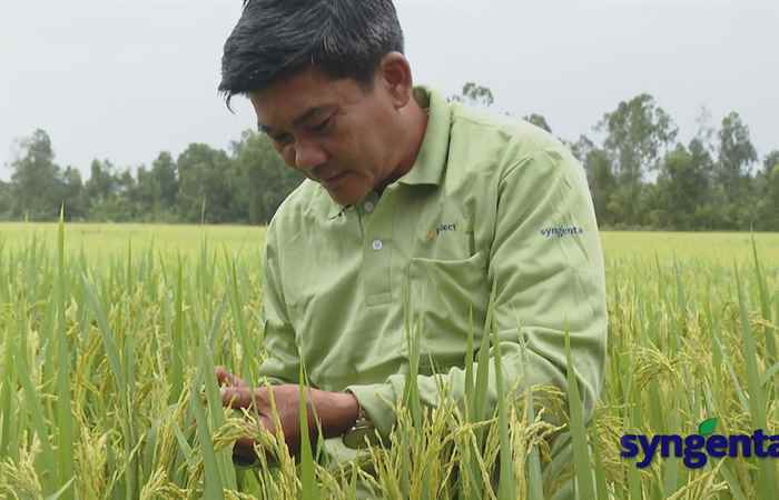 Reflect Xtra giải quyết nỗi lo của người trồng lúa trong giai đoạn nuôi Đòng (12-07-2022)